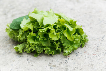 fresh green lettuce from a garden bed on the stone background. organic food and healthy lifestyle concept