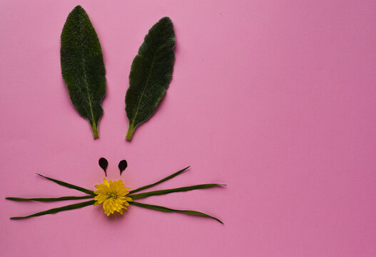 Rabbit face made from leaves on the pink background. Easter concept photos.