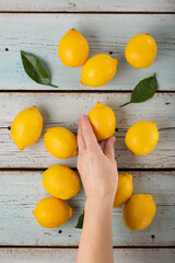 Woman puts Fresh fragrant lemons on a blue wooden table. top view