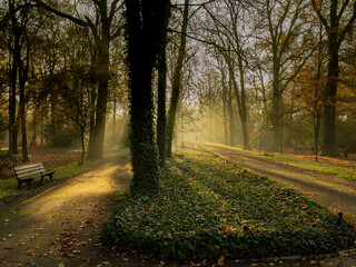 Naklejka premium OLYMPUS DIGITAL CAMERA