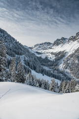 Fototapeta na wymiar winter in Diemtigtal, Berner Oberland