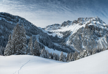 winter in Diemtigtal, Berner Oberland