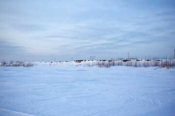Scenery. snowy field in Siberia. cold nature. winter