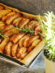 A tray with potatoes backed in oven