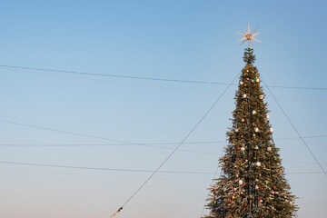Сhristmas tree