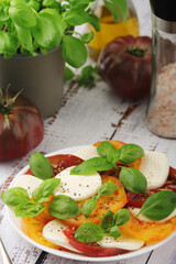 A plate with Italian salad caprese	
