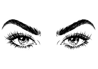 Fototapeta premium Woman big eyes with full lashes and beauty eyebrows