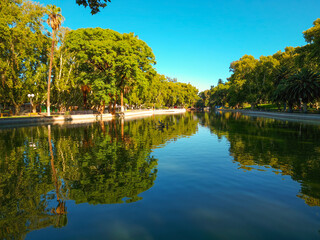 Fototapeta premium Parque de Mayo. Naturaleza