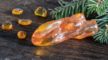 Natural old light orange Baltic amber stone in the unique form of fish close up on a rough dark wooden surface with fir twigs. Amber texture, material for jewelers.