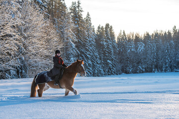 Woman horseback riding in snowy forest in winter in Finland
