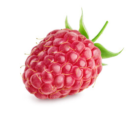 Single berry raspberry isolated