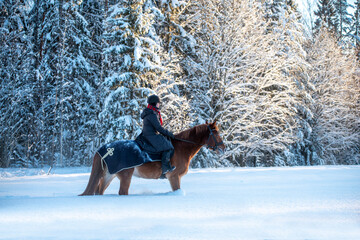 Woman horseback riding in snowy forest in winter in Finland