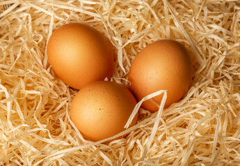 Natural chicken eggs are spread on cut paper with a close-up. Easter theme - eggs on paper shavings.