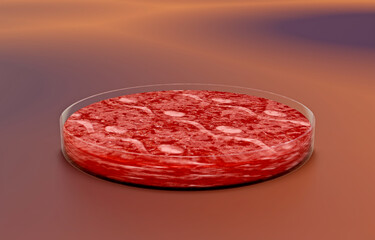 In-Vitro-Zucht von Laborfleisch. - künstlich hergestelltes Fleisch, Ernährung der Zukunft, synthetisches Fleisch in einer Petrischale