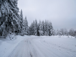 Winterwald im Vogtland in Sachsen
