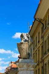 The lion with a shield