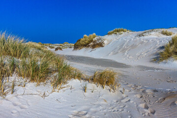 De Hors, Dünenlandschaft auf der Insel Texel, Niederlande