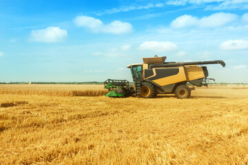 Beautiful countryside landscape .Combine harvester on a wheat field.