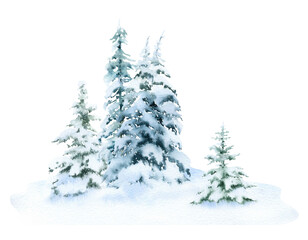 Winter spruce forest with the snow-covered spruces hand drawn in watercolor isolated on a white background. Watercolor winter illustration. Winter landscape.	
