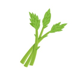 Fototapeta na wymiar Asparagus Vegetable Icon