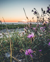 Coucher de soleil sur royan