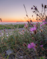 Coucher de soleil sur royan