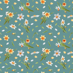 Watercolor seamless pattern, background with spring flowers of white and yellow daffodils. A bouquet of daffodils, individual flowers and leaves on a dark background.
