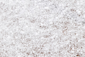 Fresh white snow as background.