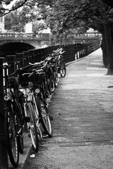 Urban City Fahrr&auml;der