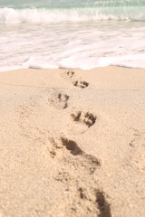 huellas de personas caminando hacia el mar