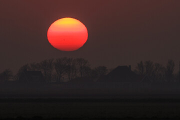 Sonnenaufgang Insel Texel, Niederlande