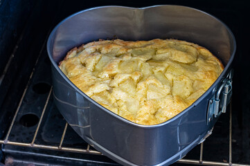 pie with pears in the oven close-up