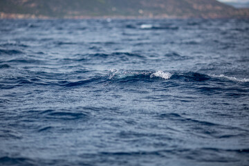 water splash in the sea