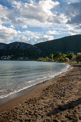 the beach in the morning