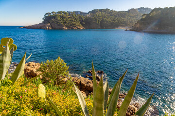 aiguablava winter fornells beaches of catalunya in spain europe turquoise blue sea palafrugell...