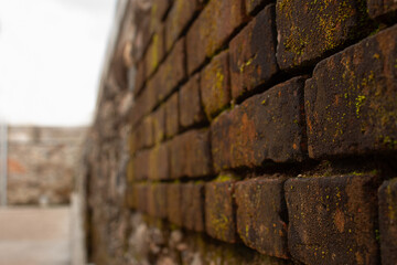 Brown Brick wall for background
