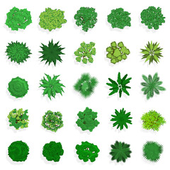 Trees top view. Green plants, bushes, shrubs and trees for landscape or architectural design. Nature green spaces vector illustration set. Different flora elements, vegetation for map or plan