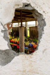 Through the wole in the wall