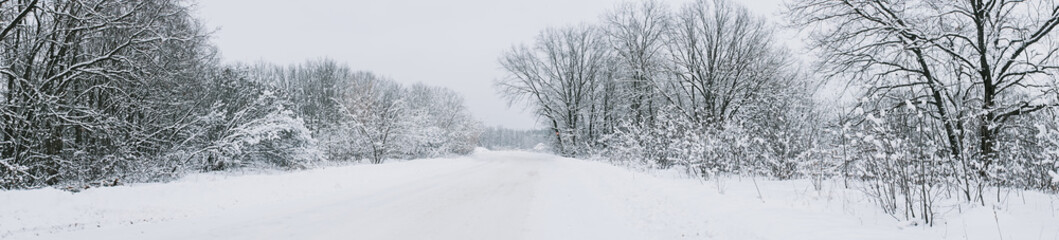 A road in a winter snow-covered forest