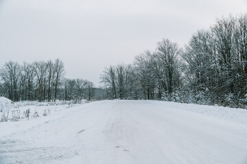 A road in a winter snow-covered forest