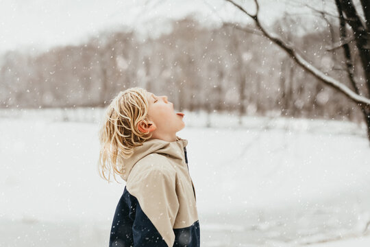 boy catching snow 
