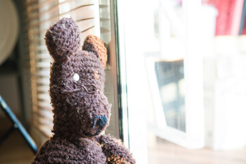 teddy bear in home