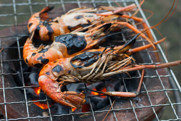 grilled shrimp on the grill