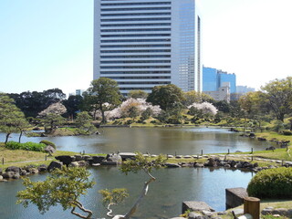Traditional Japanese Park Contrasts Modern Architecture