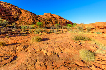 The scenic sandstone domes called The Lost City at start of Kings Canyon Rim in Watarrka National...