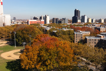 Obraz premium Colorful Trees at Queensbridge Park during Autumn with the Long Island City Queens New York Skyline