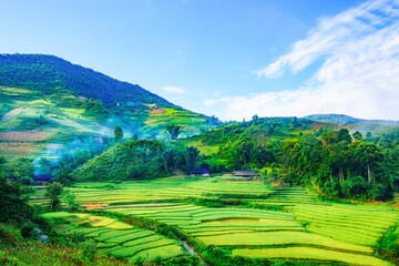 A beautiful terraced field plot in Tua Chua district, Dien Bien province, Vietnam