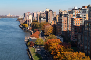 Roosevelt Island Skyline with Colorful Trees during Autumn in New York City