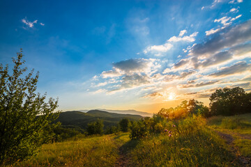 Fototapety na wymiar - Fototapeta24.pl