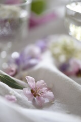 spa still life with pink flowers